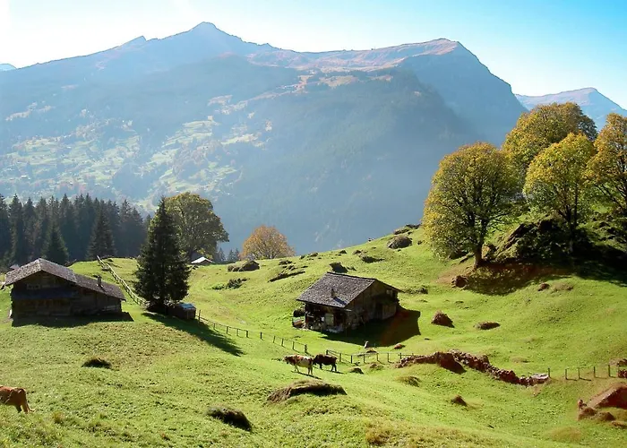 Holzwurm-1 By Interhome Γκρίντελβαλντ